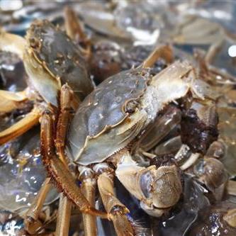 热门知识问答游戏盘点：下载排行揭秘新亮点