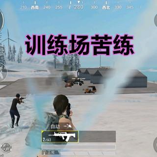 和平精英训练场攻略：深度解析全新实战技巧