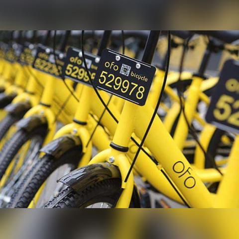 单车游戏盘点：热门骑行体验，揭秘最佳选择