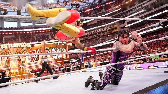 2024年度摔角游戏精选：全方位摔角游戏大全推荐攻略