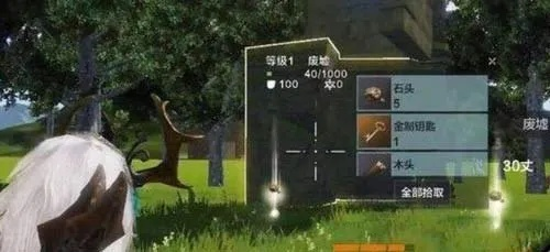 金色捕捉器攻略：妄想山海高效捕获秘籍大公开