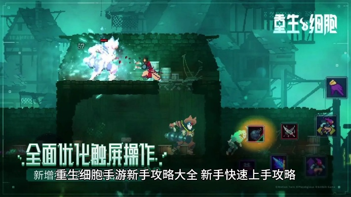 细胞重生极简攻略,高效通关新体验 细胞重生极简攻略,高效通关新体验