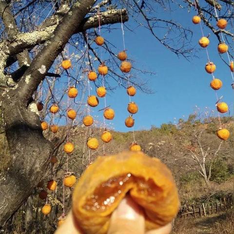 探索MUD魅力：盘点十大必玩经典MUD游戏推荐