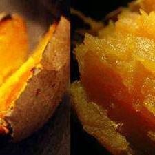 农业游戏新巅峰，精选下载体验非凡