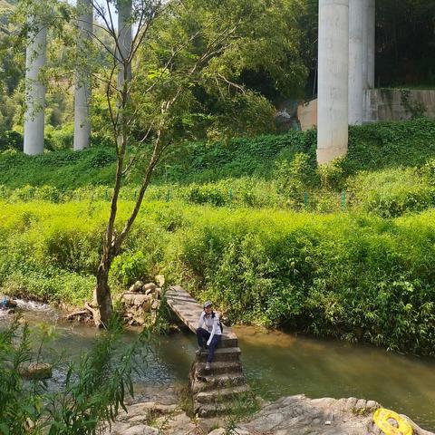 热门轻游戏盘点：探索值得玩的新兴轻游排行