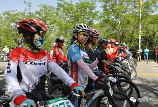 人气爆棚！精选自行车越野游戏，畅享极限新体验