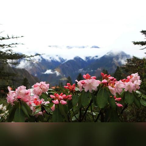 勇者秘境技能深度解析：解锁全新战斗奥秘