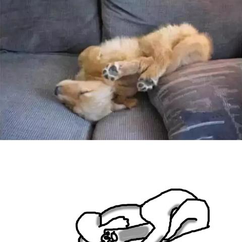 十大精选狗游戏，解锁欢乐新体验