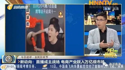 夏音实战深度解析：无期迷途新视角探秘