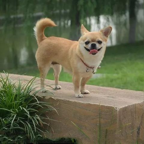 最新动作游戏盘点：揭秘必玩热门新选择