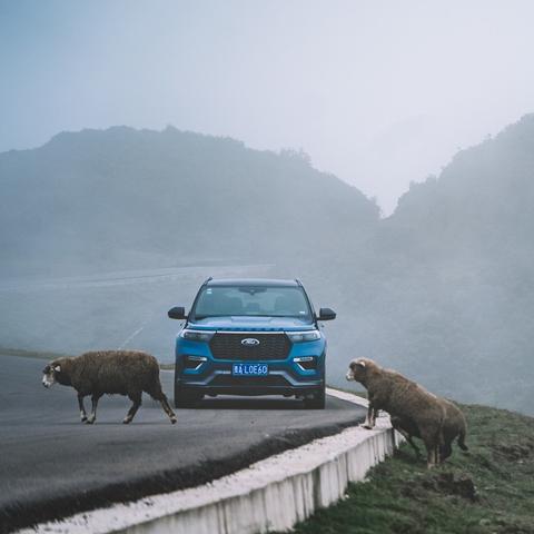 热门解密游戏盘点：揭秘高人气密境探秘之旅