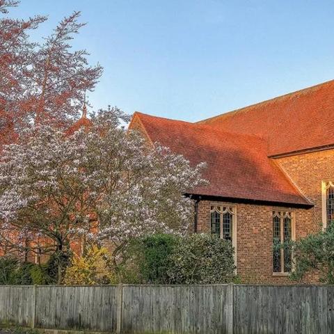 坎特伯雷公主与骑士：深度攻略秘籍，漫画书内藏宝图