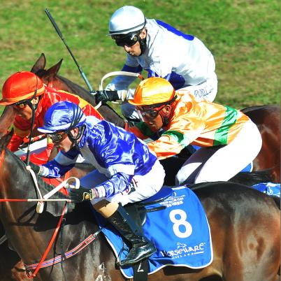 热门马匹游戏盘点：人气飙升的竞技盛宴推荐