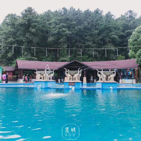 盘点热门欢乐游戏，解锁快乐新体验