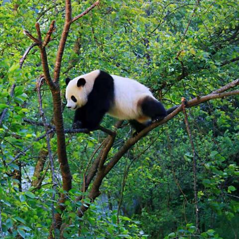 十大热门灵异游戏盘点：揭秘沉浸式惊悚体验新巅峰