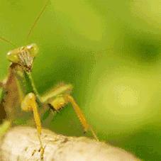 热门全动态影像游戏盘点：下载量飙升的视觉盛宴推荐