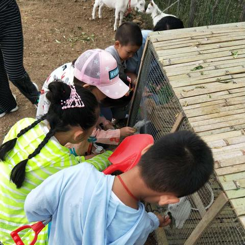 农场管理乐趣盘点：探索热门游戏新价值排行