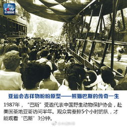 传奇制作人赞佩拉车祸离世，业界缅怀创新精神传承