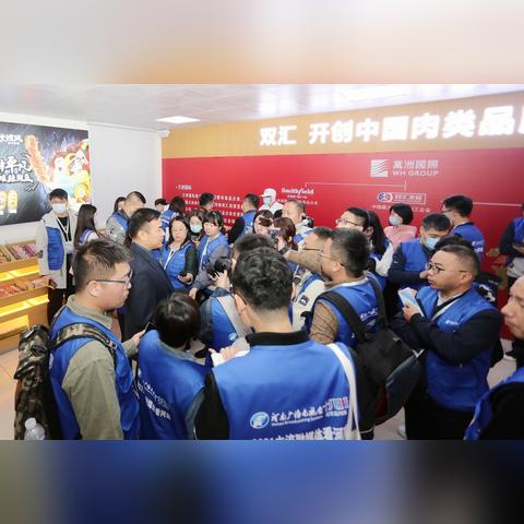 畅玩热门自动化游戏，揭秘十大最受欢迎秘籍