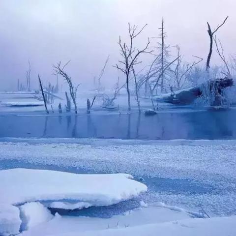 最新雪游戏盘点：探寻冬日娱乐巅峰之作