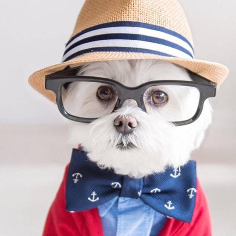 热门桌上游戏盘点：揭秘人气排行与好玩秘籍