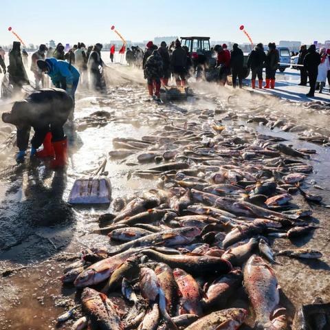 温馨惬意游戏盘点：人气爆款精选推荐，畅享游戏新体验