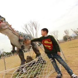 热门下载排行：精选模拟游戏人气榜单揭晓