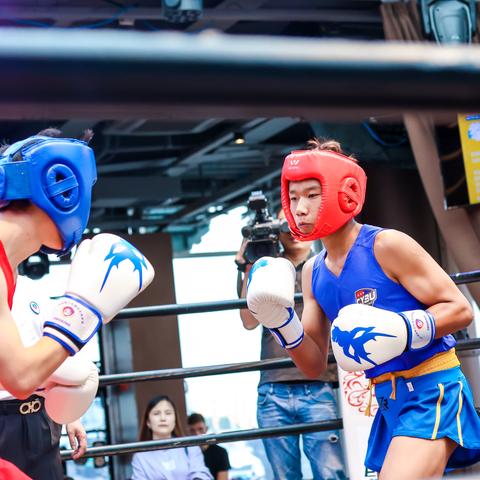 热门拳击游戏盘点：人气爆棚的竞技首选