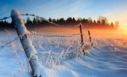 冬日温情**治愈之旅**，《林间暖巢》暖心时光再现