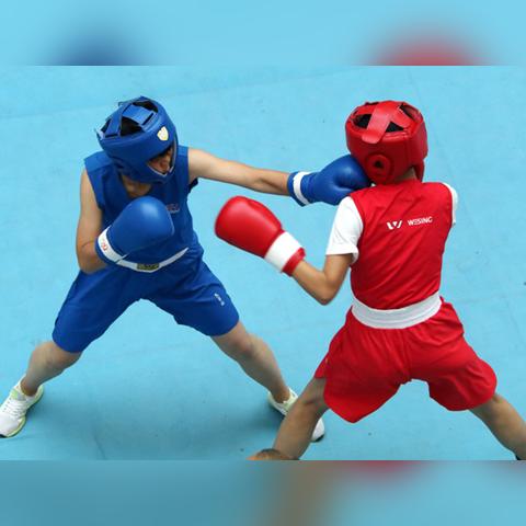 热门拳击游戏盘点：下载量飙升的竞技首选