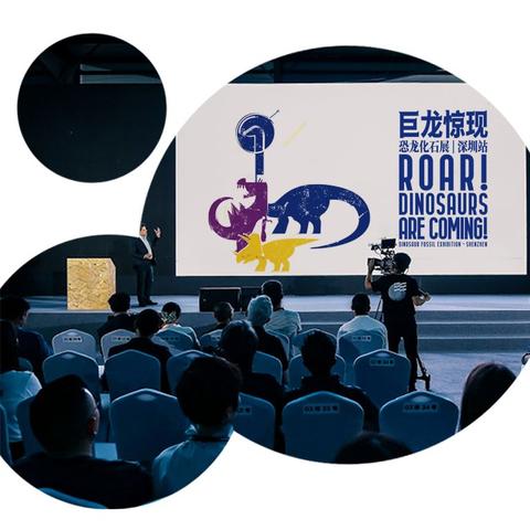 十大热门恐龙游戏盘点：揭秘人气巅峰之作