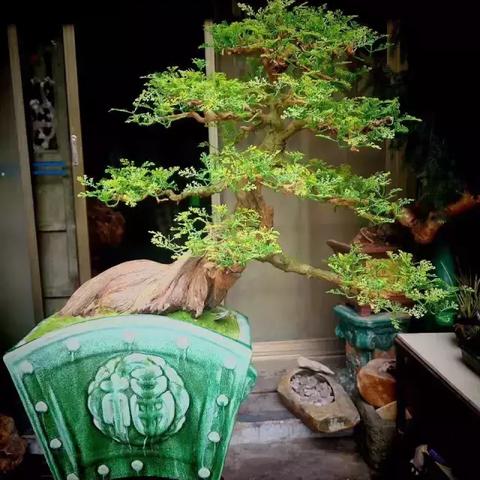 脑洞无限，最新精选游戏，下载体验非凡创意之旅