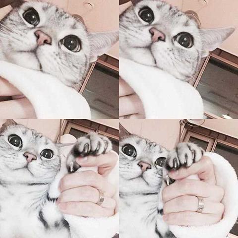 照片编辑游戏精选盘点：探索创意无限的新玩法