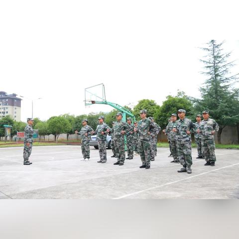 荒野行动桥梁作战攻略：全面解析新战术技巧