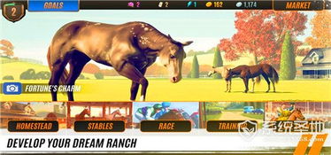 十大热门马匹游戏盘点：揭秘最佳骑乘体验攻略