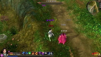 剑侠传奇：新手侠客技能搭配攻略，轻松提升战斗力