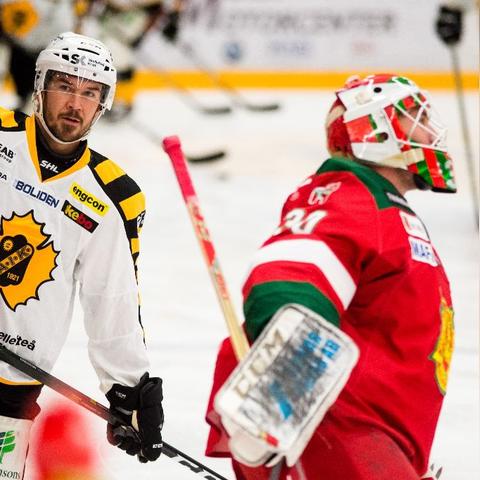 冰球竞技巅峰之作：揭秘十大必玩冰球游戏精选