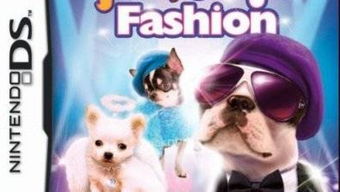 热门下载狗游戏盘点：精选热门狗类游戏推荐