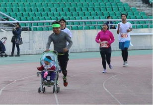 十大耐玩马拉松游戏盘点，揭秘收藏狂热者的最爱