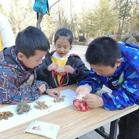 探索科学奥秘，十大精选游戏推荐必玩