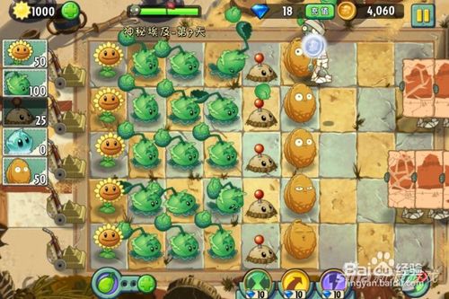 植物大战僵尸2埃及秘境通关攻略，解锁神秘新技能