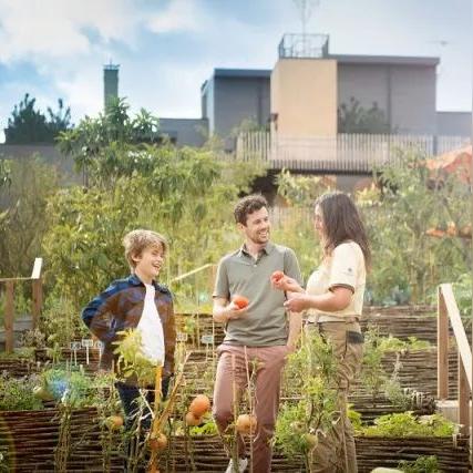 游戏开发秘籍：盘点热门好玩游戏排行攻略