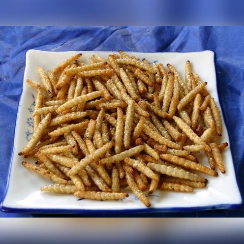 冬虫夏草奶妈深度解析：食之契约新宠奶妈价值揭秘