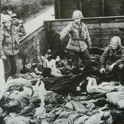 军事游戏盘点：热门排行榜揭示战火激情新体验