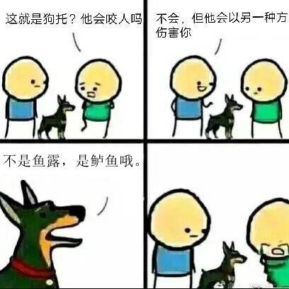 最新钓鱼游戏盘点：揭秘热门趣味玩法推荐