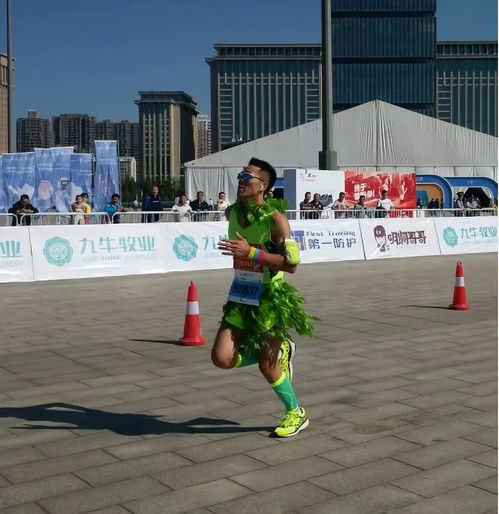 十大热门收集马拉松游戏盘点：揭秘收藏乐趣新境界