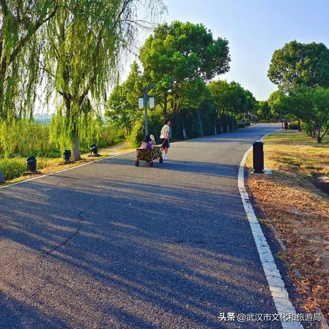 热门下载！揭秘宝藏游戏，探索新乐趣首选