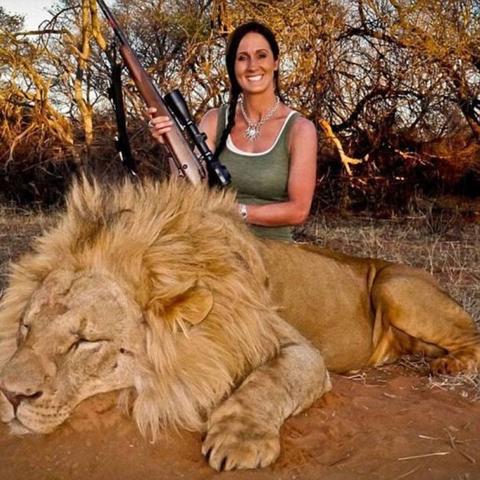 盘点热门狩猎游戏:揭秘哪些狩猎游戏最受欢迎 盘点热门狩猎游戏:揭秘哪些狩猎游戏最受欢迎