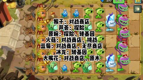 植物大战僵尸2：功夫无尽攻略，深度解析新策略，轻松通关秘籍！