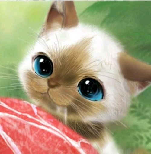 2024热门猫游戏盘点:揭秘十大趣味排行 2024热门猫游戏盘点:揭秘十大趣味排行